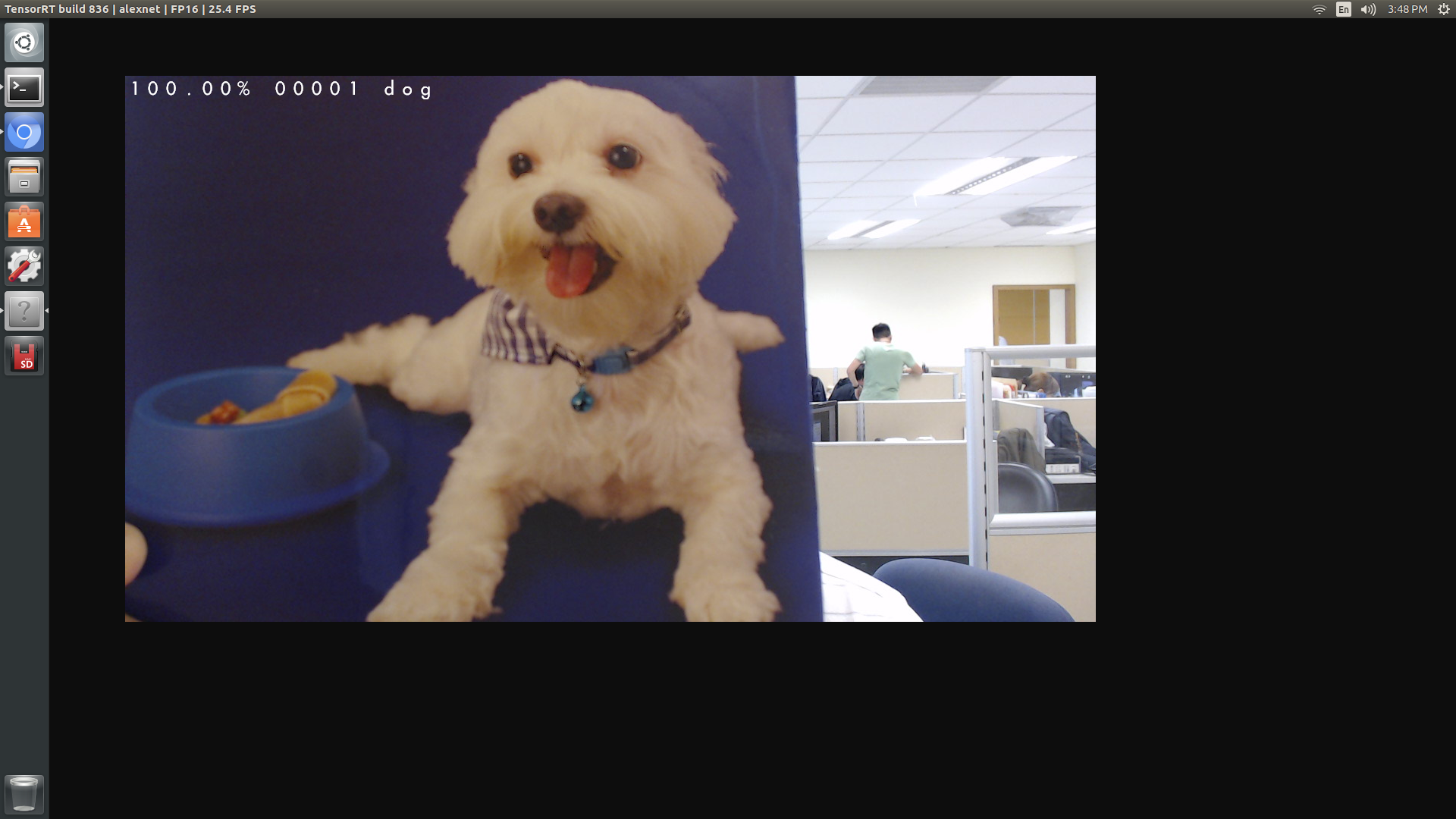 Screenshot of TensorRT with deeplearning-cats-dogs-tutorial model correctly classified the picture as class #1, i.e. dog