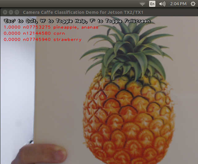 A pineapple picture shown to tegra-cam-caffe.py